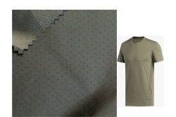 REP-20260-BZ